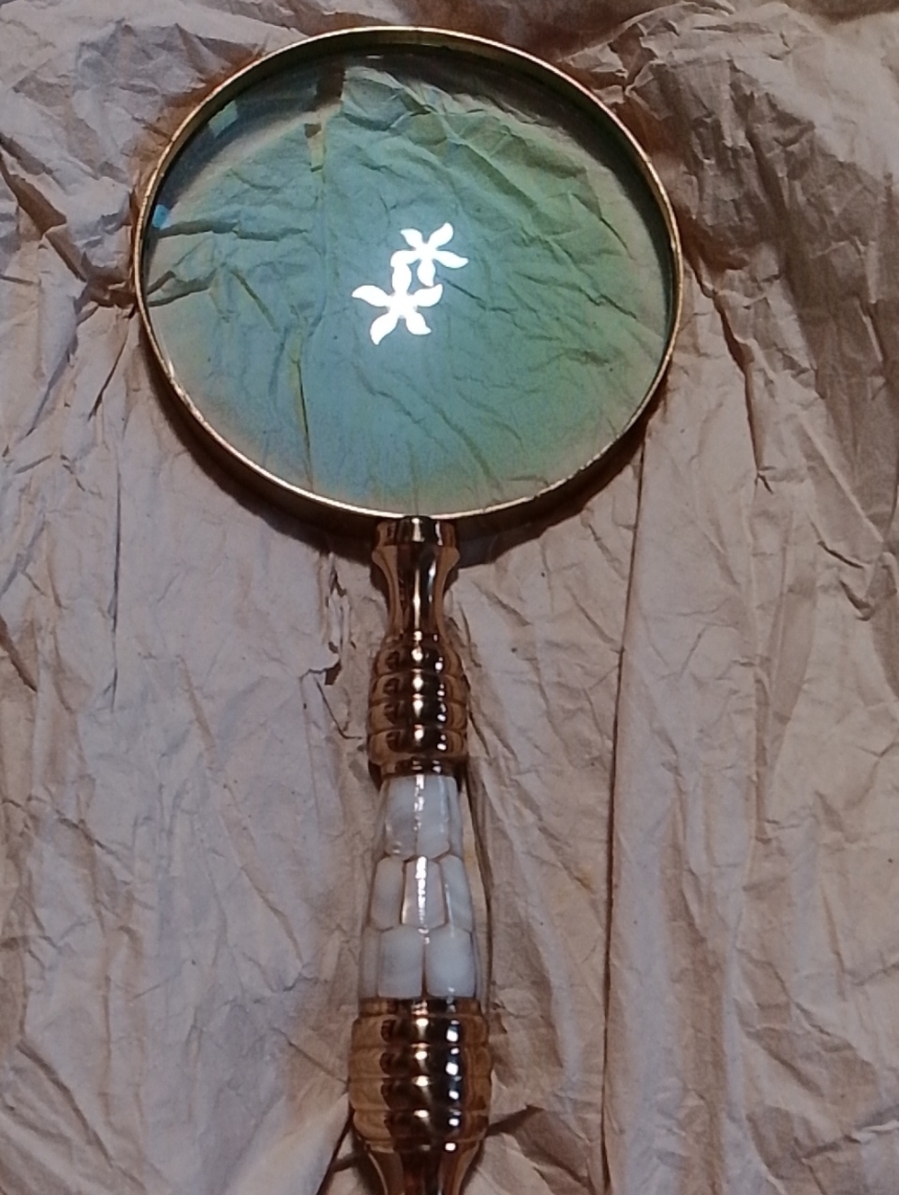 Handheld Showerhead with Iridescent Green Face and White Accents